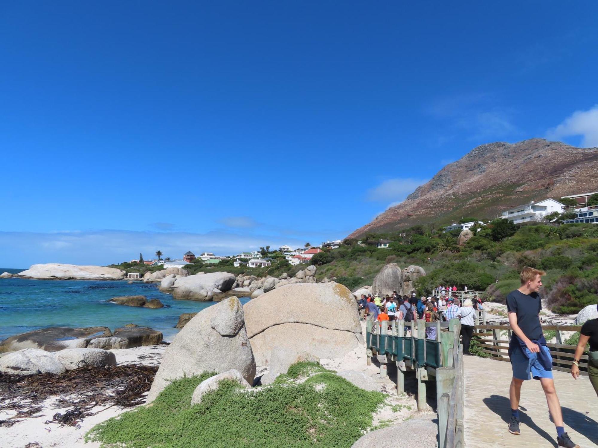 Bonne Esperance, Simon'S Town Daire Dış mekan fotoğraf